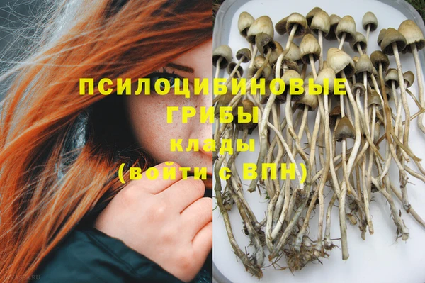 spice Туринск