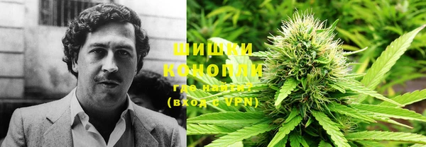 spice Туринск