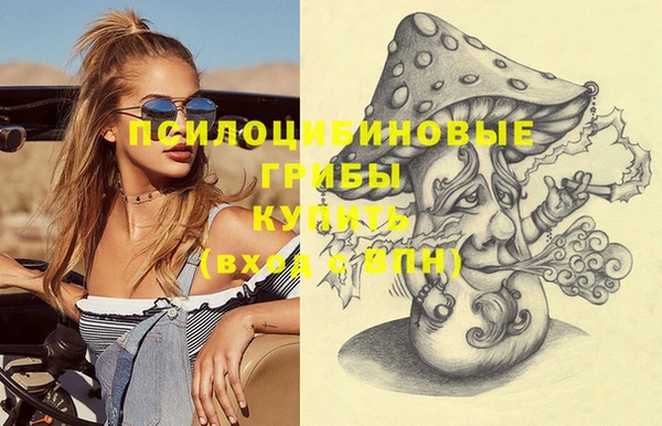 spice Туринск