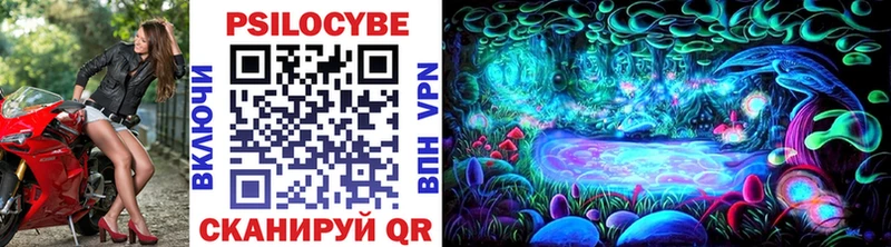 купить  цена  Пойковский  blacksprut зеркало  Псилоцибиновые грибы Psilocybine cubensis 